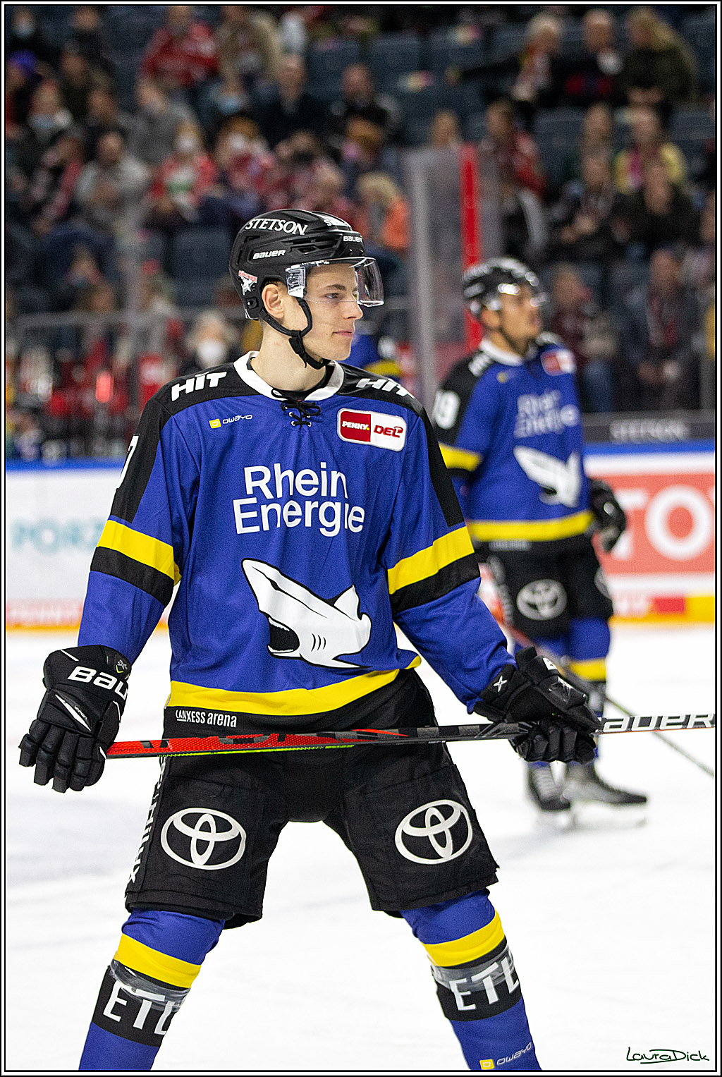 PENNY DEL; Koelner Haie- Fishtown Pinguins Bremerhaven; Koeln, 23.11.2021